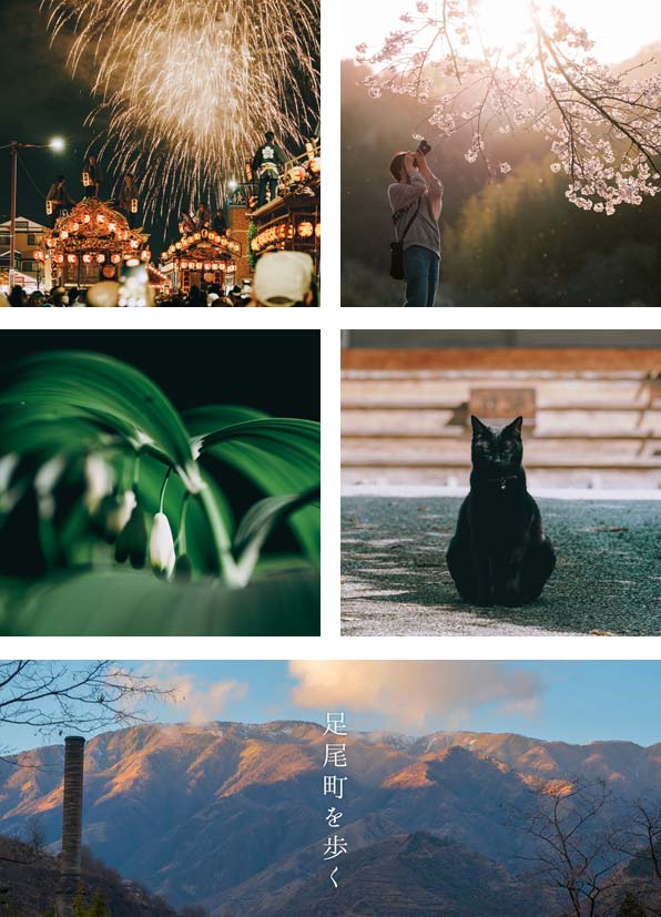 Awards / Recognition